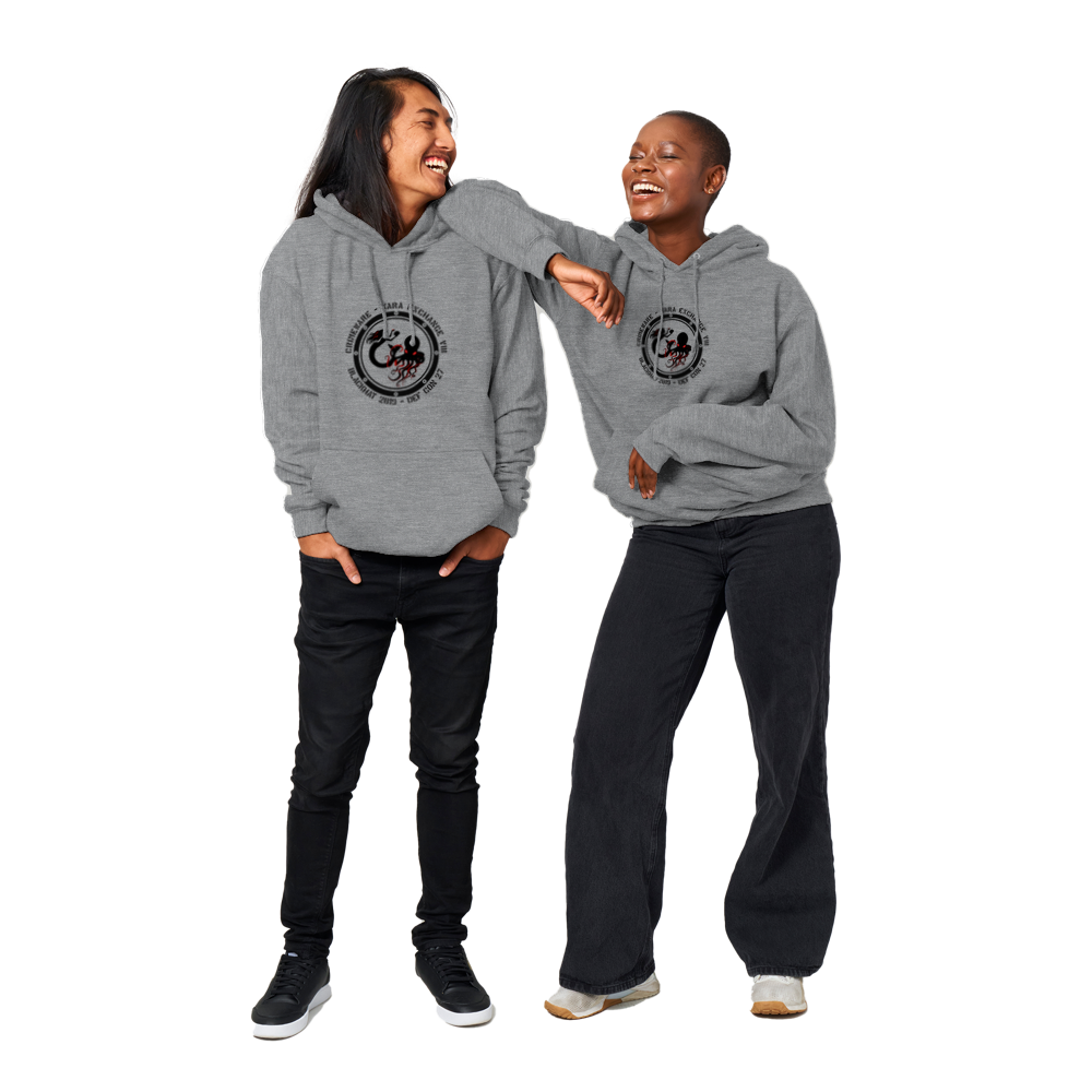 2019 Hoodie - Unisex Pullover French Terry (DL3299F-2641-3014)