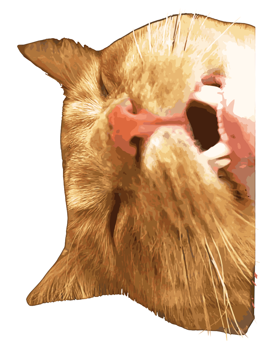 Sticker Sideways Nap Cat 3"