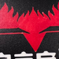 Sticker Firebird 2.5" x 1.3" Vinyl