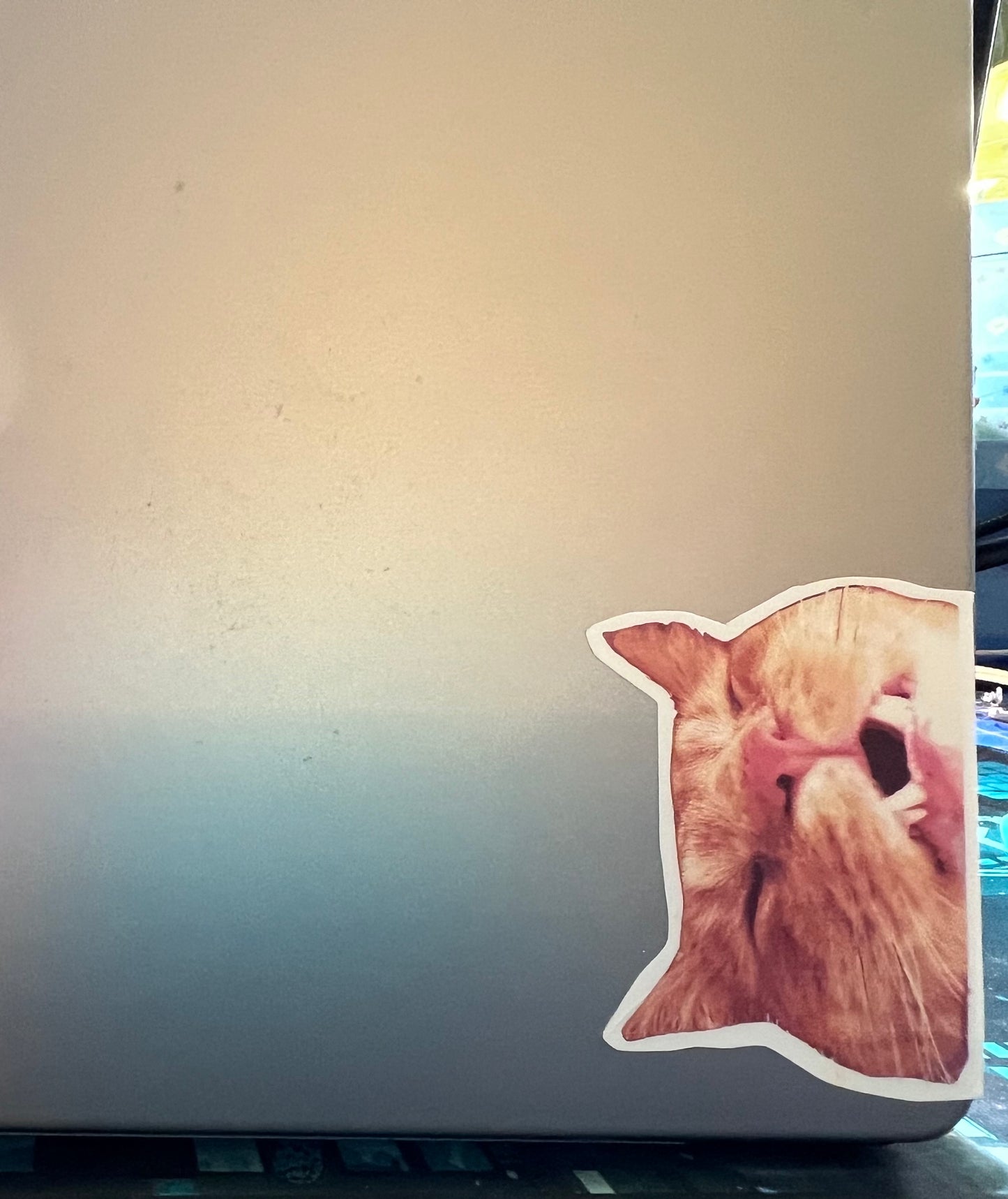 Sticker Sideways Nap Cat 3"