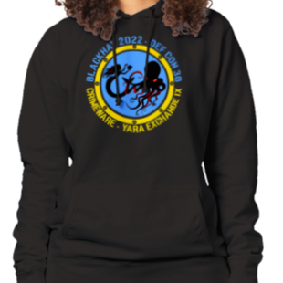 2022 Ukraine Pullover Hoodie - Women's Premium (DL3299-2604-2798)